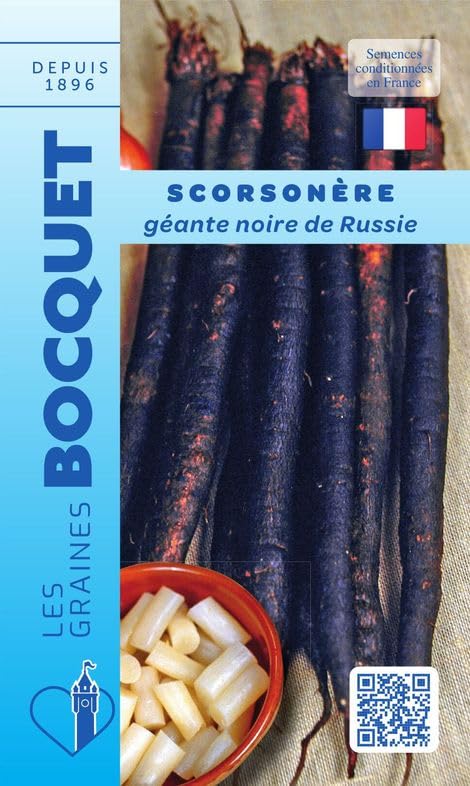 graines-bocquet-scorson-re-g-ante-noire-russie-graines-5-g-racine image 1