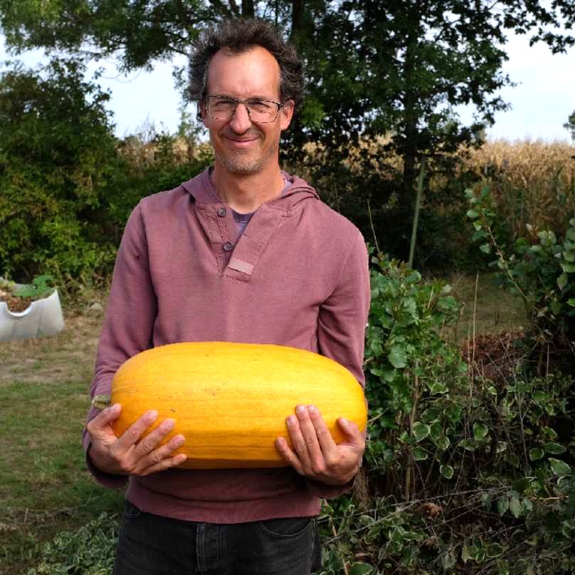 la-bo-te-graines-graines-l-gumes-sucrine-de-champtoceaux-courge-bio image 4