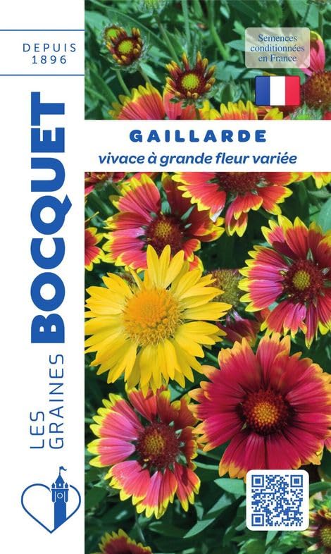 graines-bocquet-gaillarde-vivace-graines-fleurs-1-5-g-grande-fleur image 1