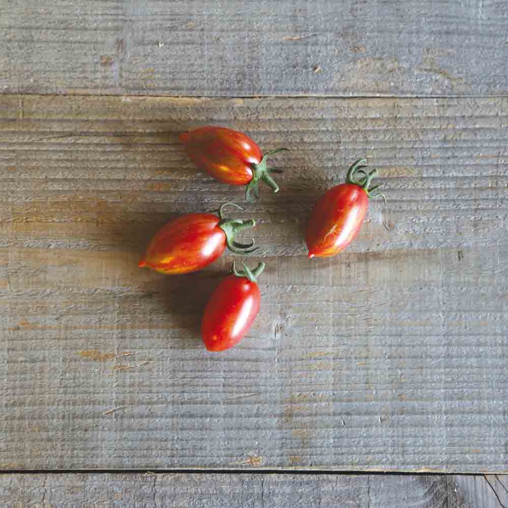 ferme-de-sainte-marthe-tomate-artisan-pink-tiger-graines-bio-cerise image 1