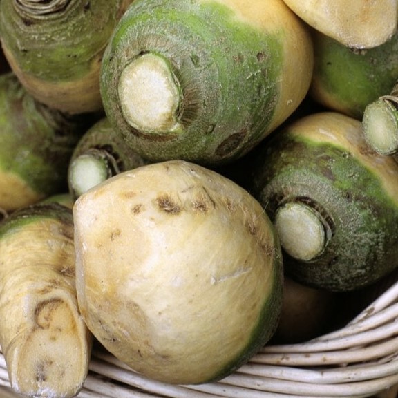 la-bo-te-graines-rutabaga-g-ant-blanc-vend-e-graines-bio-soupe image 1