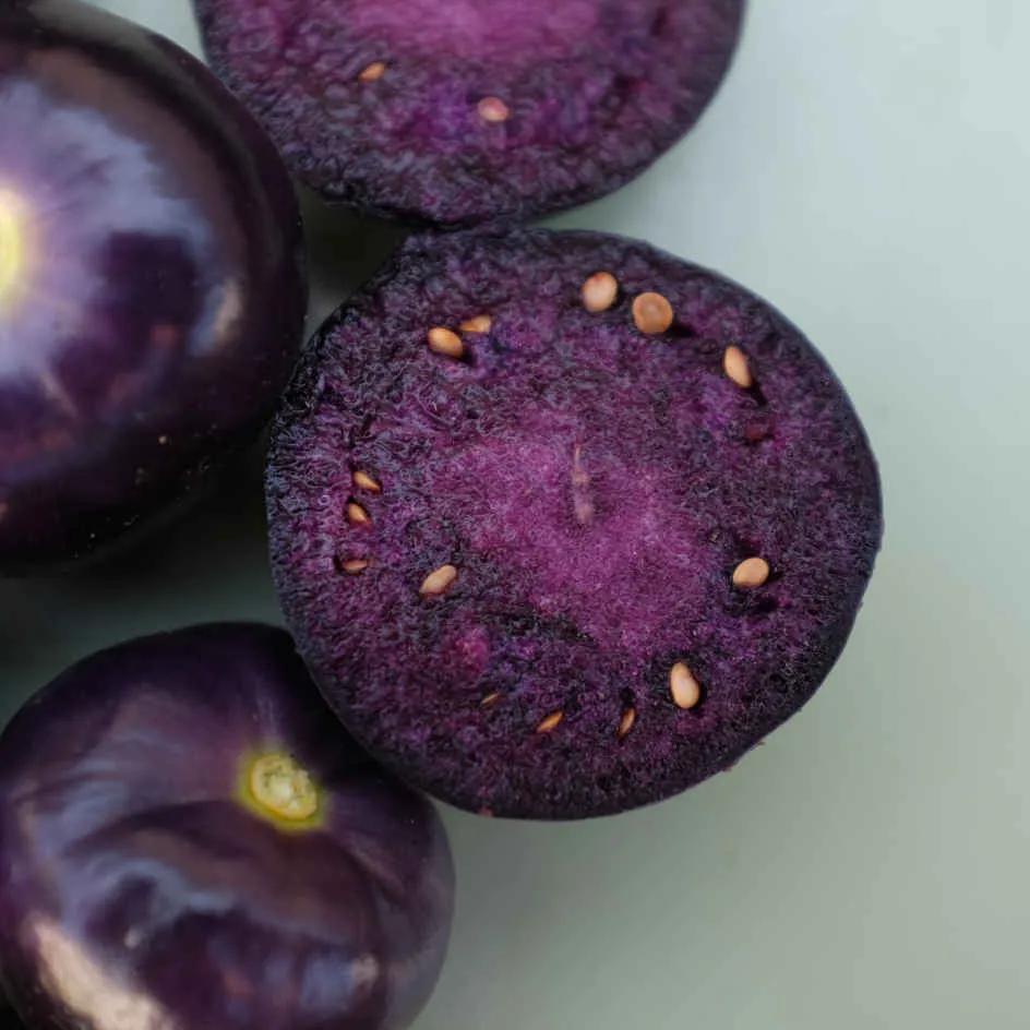 la-bo-te-graines-physalis-deep-purple-bio-graines-l-gumes-pourpre image 1