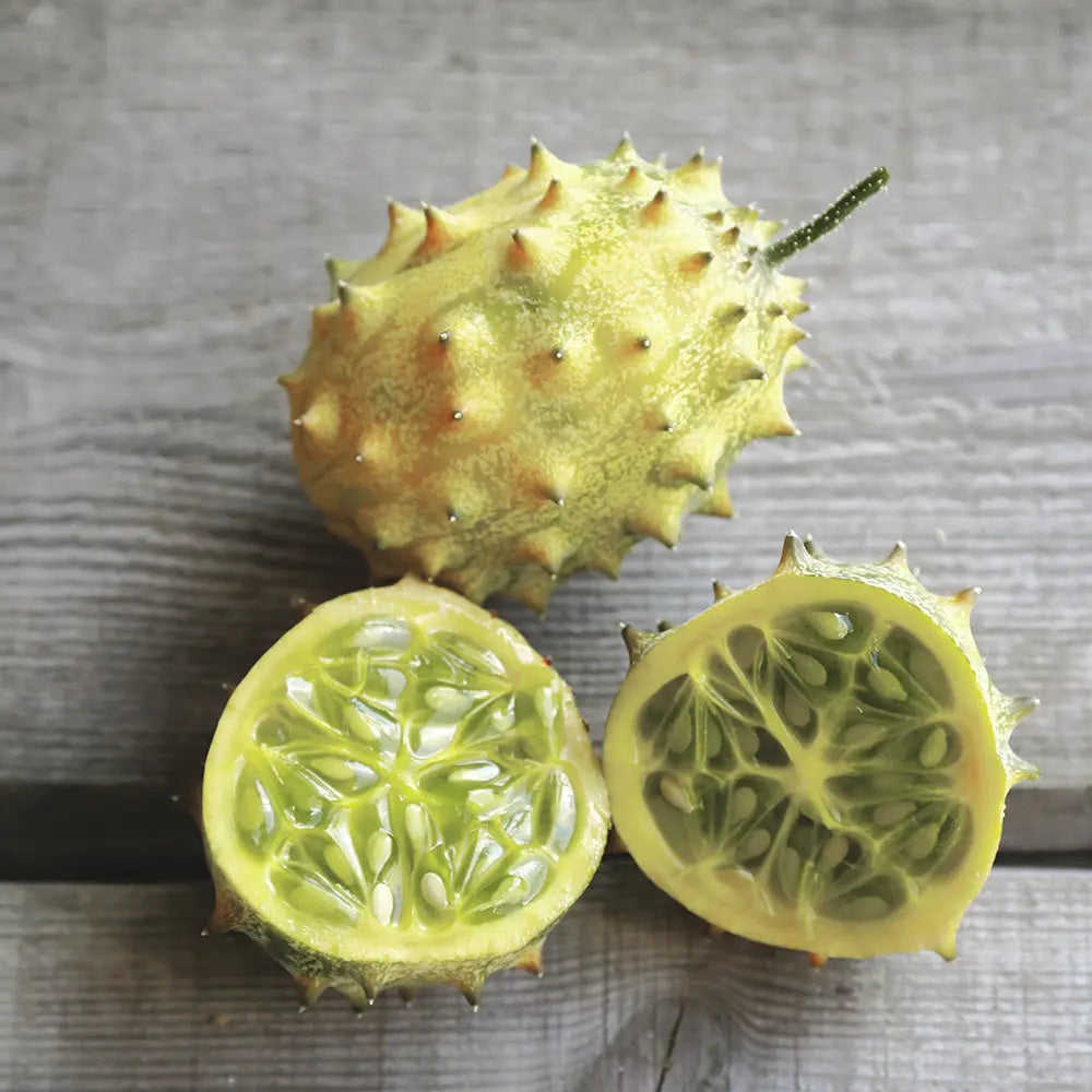 ferme-de-sainte-marthe-concombre-kiwano-rond-blanc-graines-bio image 1