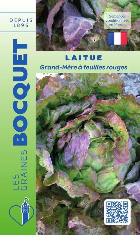 graines-bocquet-laitue-grand-m-re-feuilles-rouges-2-g-hiver image 1
