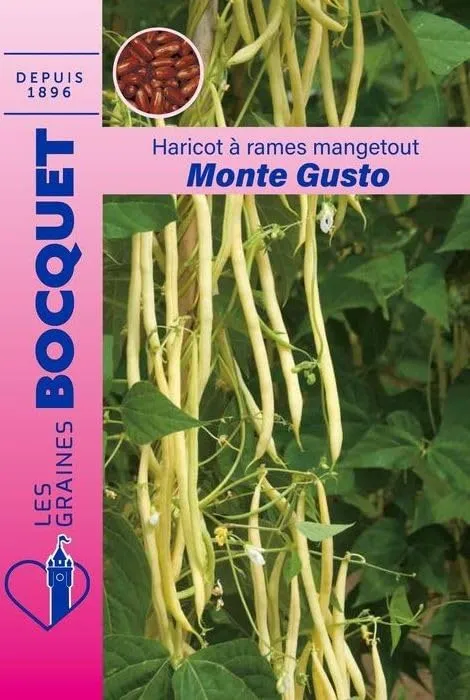 graines-bocquet-haricot-monte-gusto-rames-mangetout-50-g-jaune image 1
