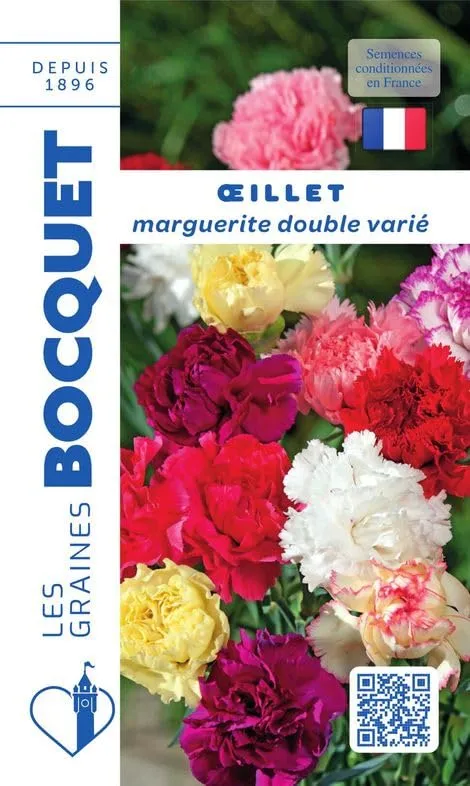 graines-bocquet-oeillet-marguerite-annuel-vari-graines-fleurs-0-5-g-odorantes image 1