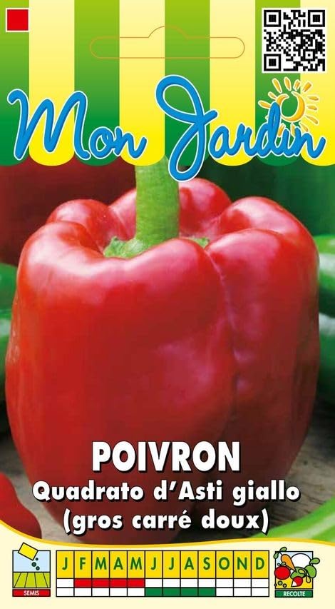 graines-bocquet-poivron-quadrato-d-asti-giallo-3-g-doux image 1