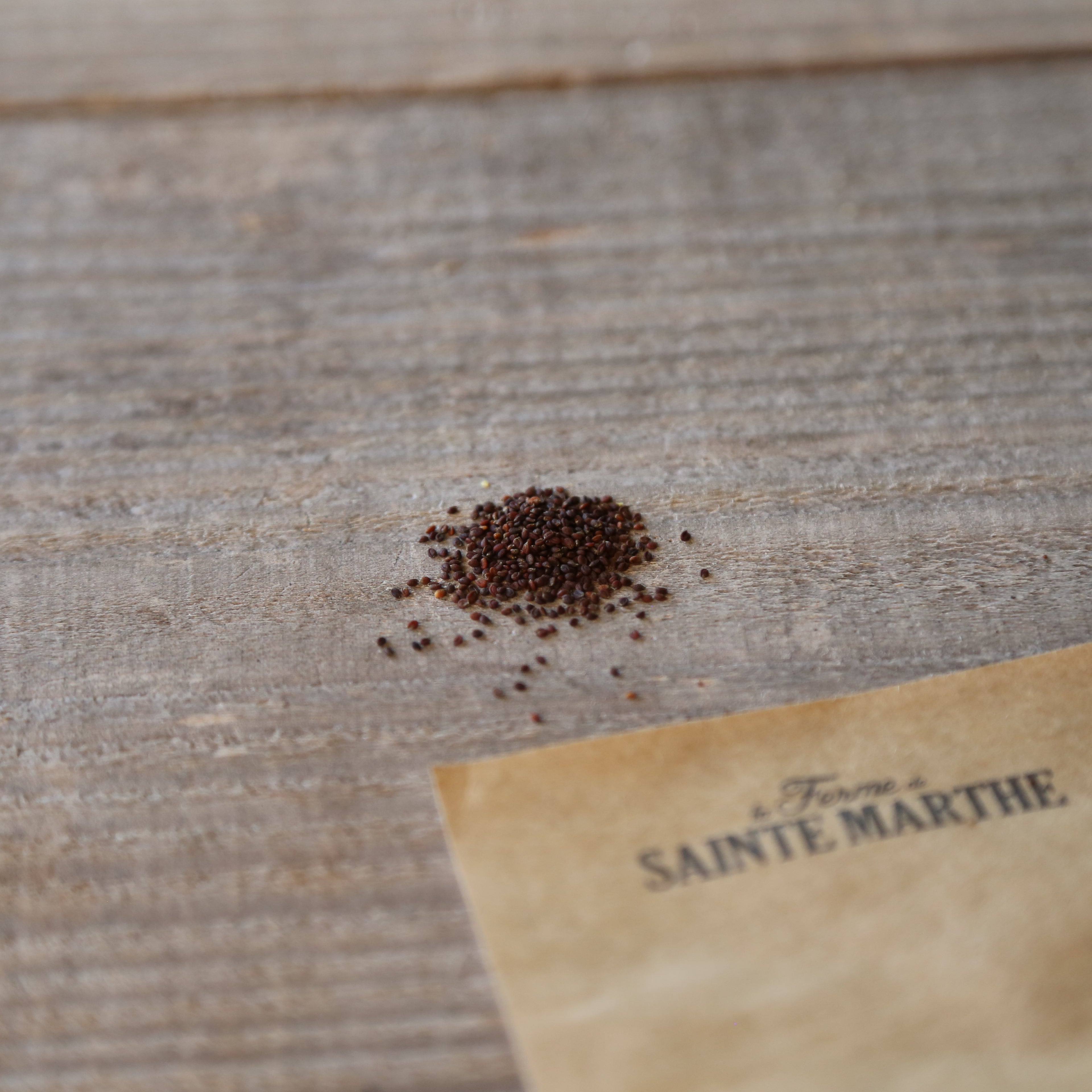 ferme-de-sainte-marthe-cochl-aire-officinale-aromatique-graines-bio image 2