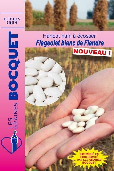graines-bocquet-flageolet-blanc-de-flandres-haricot-nain-90-g-ancien image 1