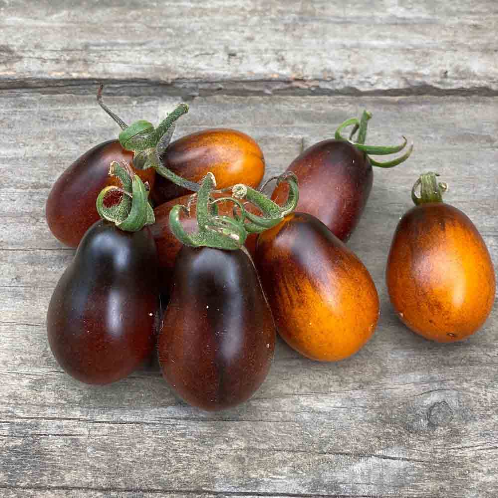ferme-de-sainte-marthe-graines-potag-res-tomate-indigo-pear-drops-bio image 1