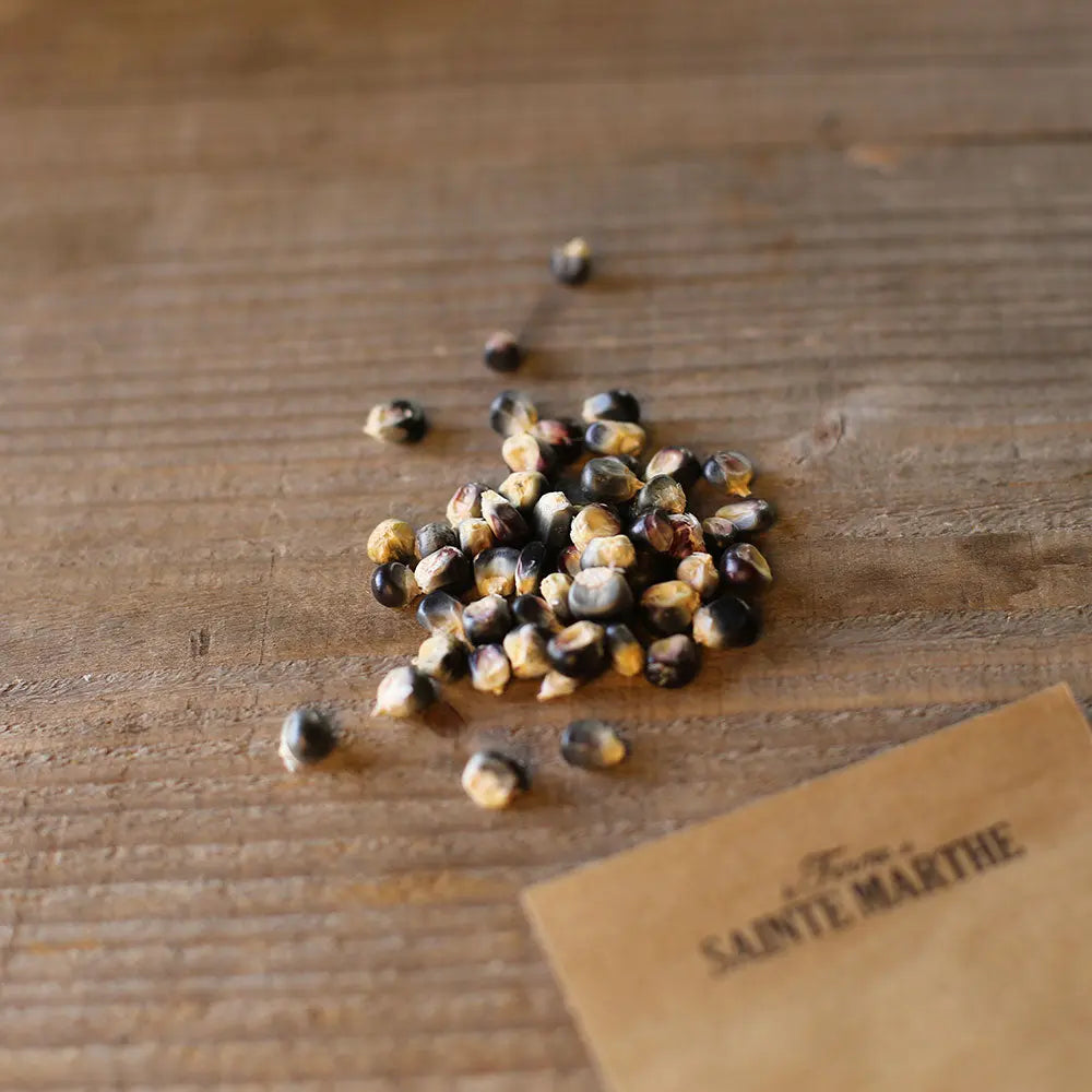 ferme-de-sainte-marthe-ma-s-tortilla-noir-ab-graines-bio-sachet image 2
