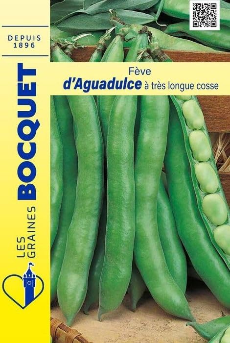 graines-bocquet-f-ve-aguadulce-longue-cosse-graines-125g image 1