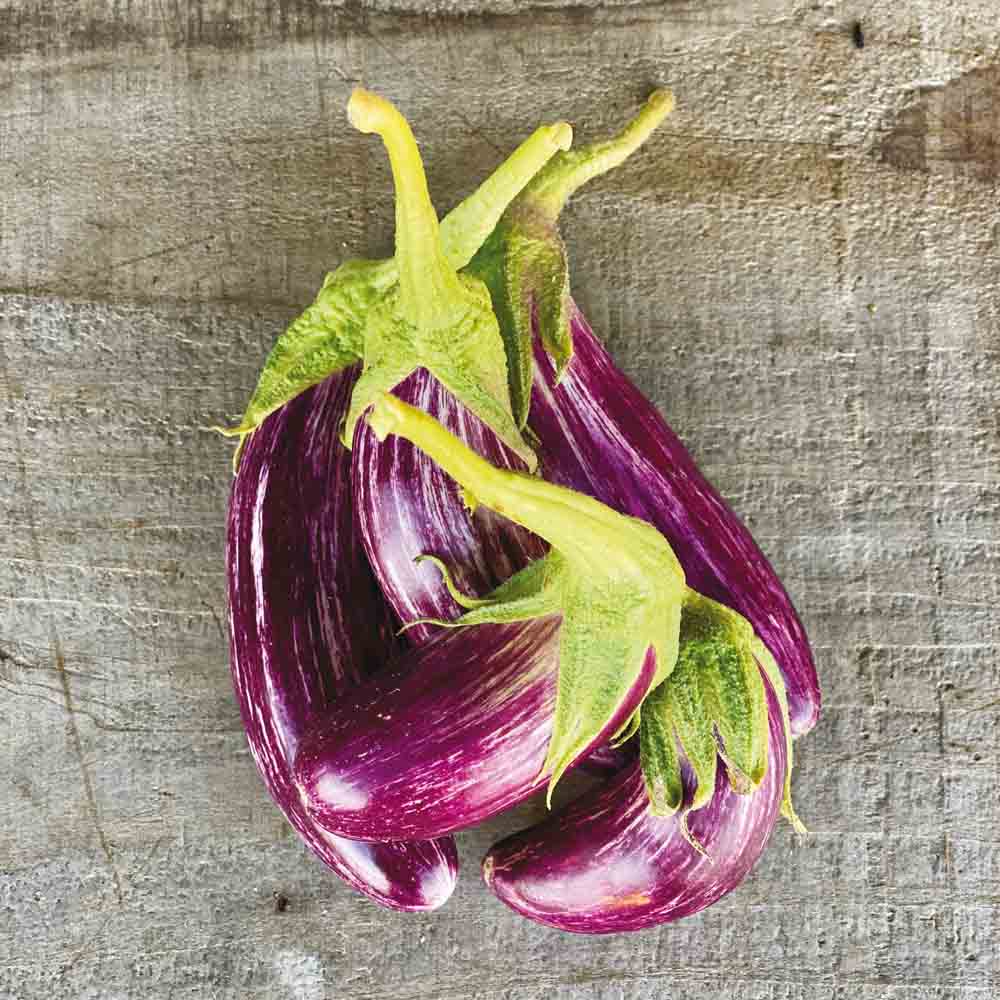 ferme-de-sainte-marthe-aubergine-tsakoniki-graines-potag-res-bio image 1