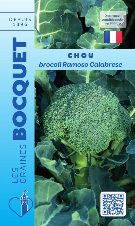 bocquet-chou-brocoli-ramoso-calabrese-graines-1-5-g image 1