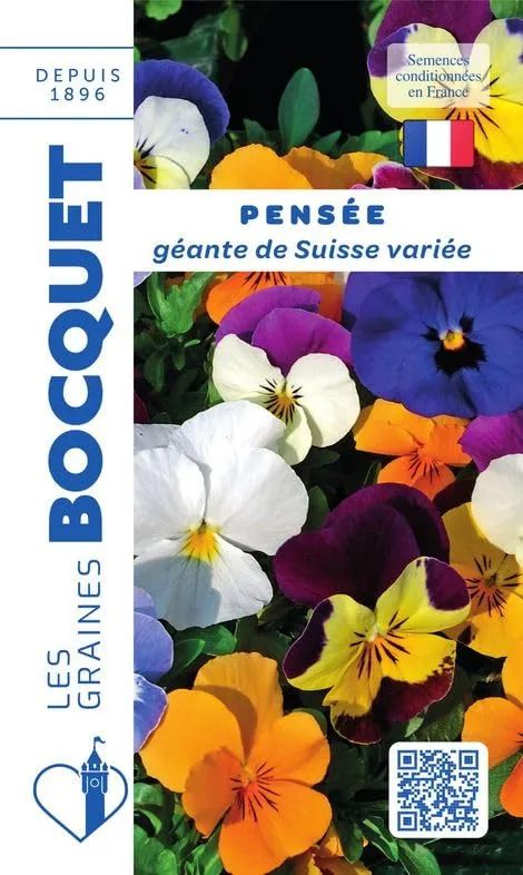 graines-bocquet-pens-e-g-ante-de-suisse-graines-0-5-g-vari-e image 1