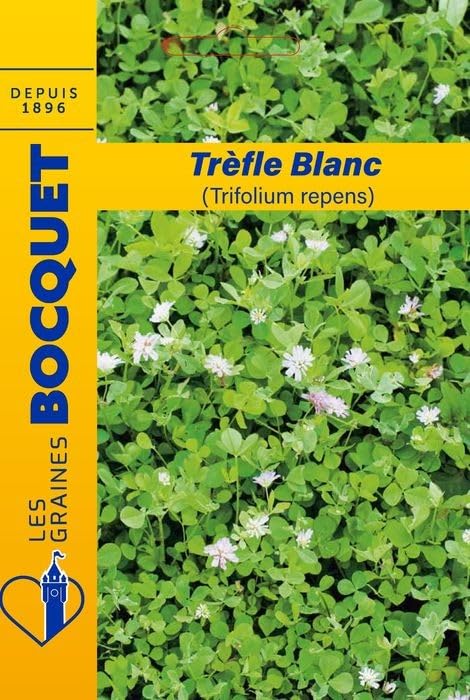 graines-bocquet-tr-fle-blanc-graines-de-fleurs-100-g-pour-40-m image 1