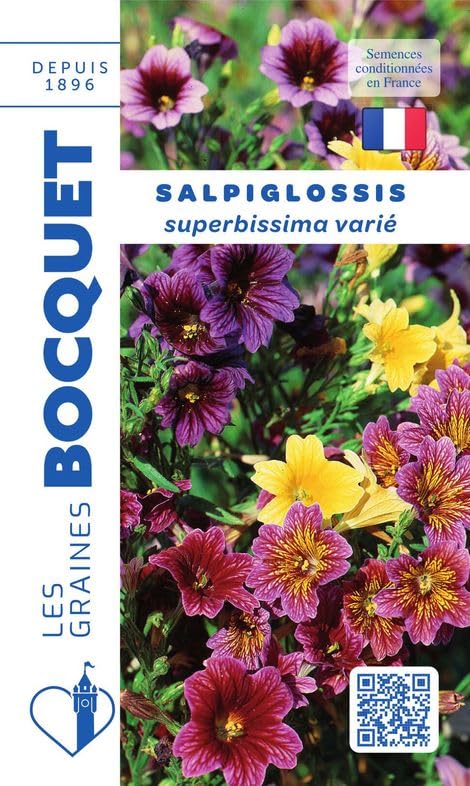 graines-bocquet-salpiglossis-grande-fleur-graines-fleurs-0-8-g-vari image 1