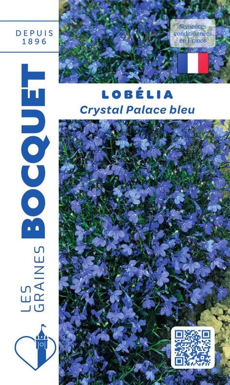 graines-bocquet-lob-lia-crystal-palace-bleu-annuelle-0-3-g image 1