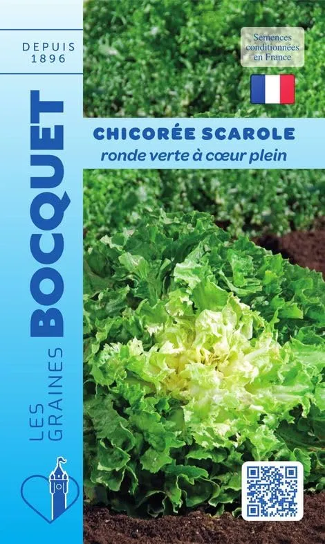 graines-bocquet-chicor-e-scarole-ronde-verte-graines-4-g-tardive image 1