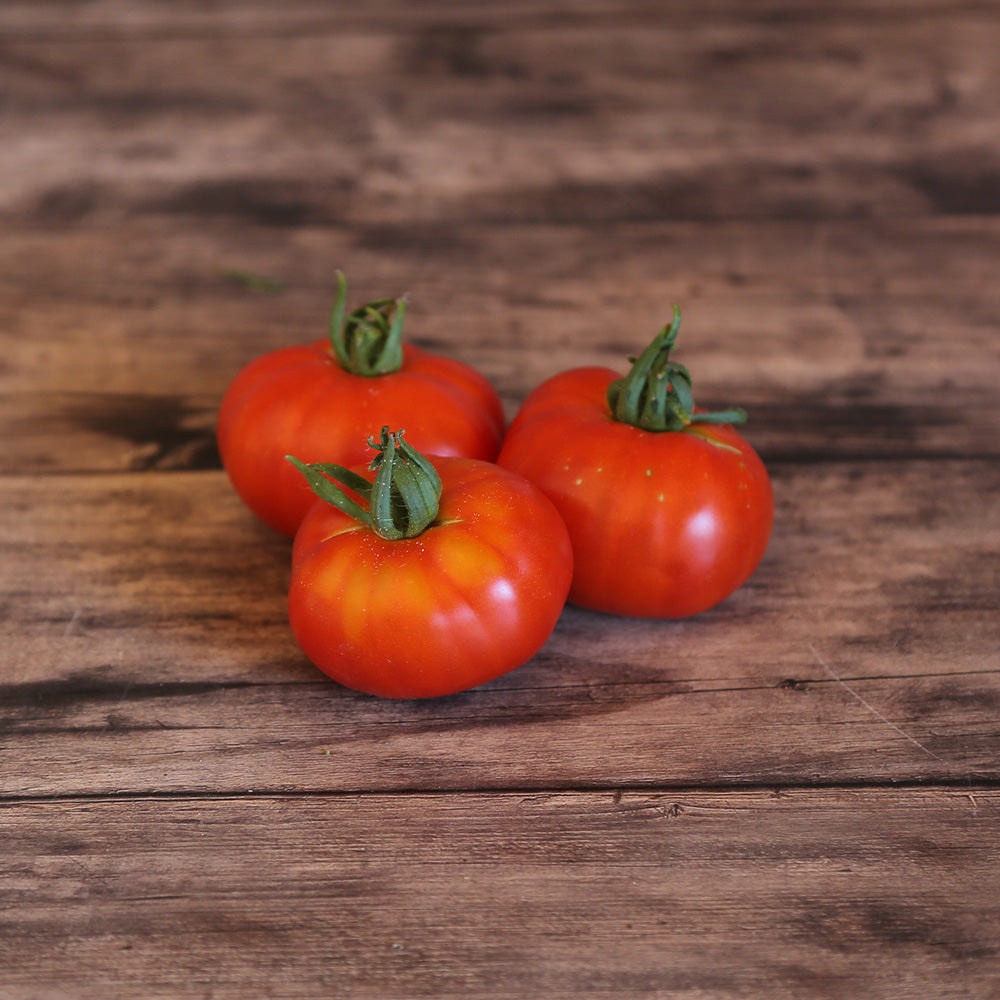 ferme-de-sainte-marthe-tomate-redfield-beauty-graines-potag-res-bio image 1