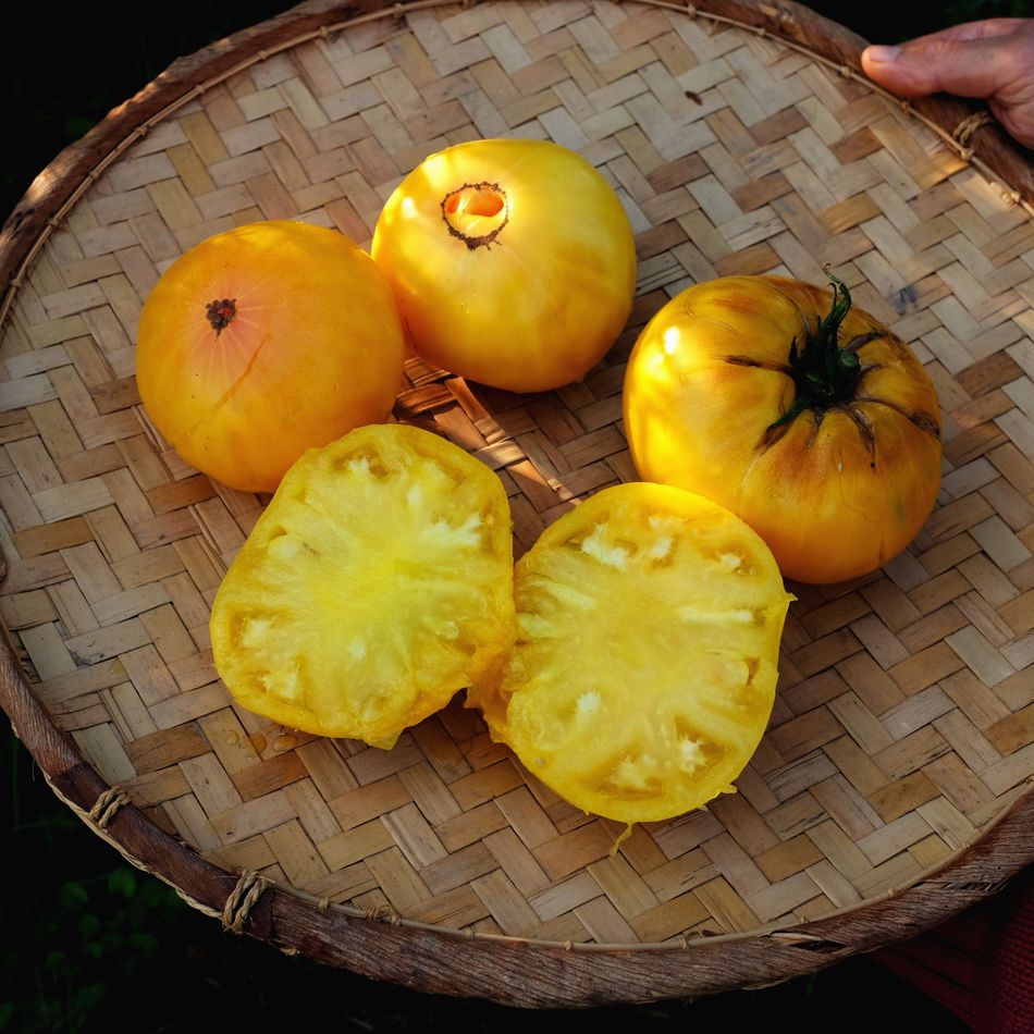 la-bo-te-graines-tomate-lilian-s-yellow-heirloom-graines-bio-beefsteak image 2