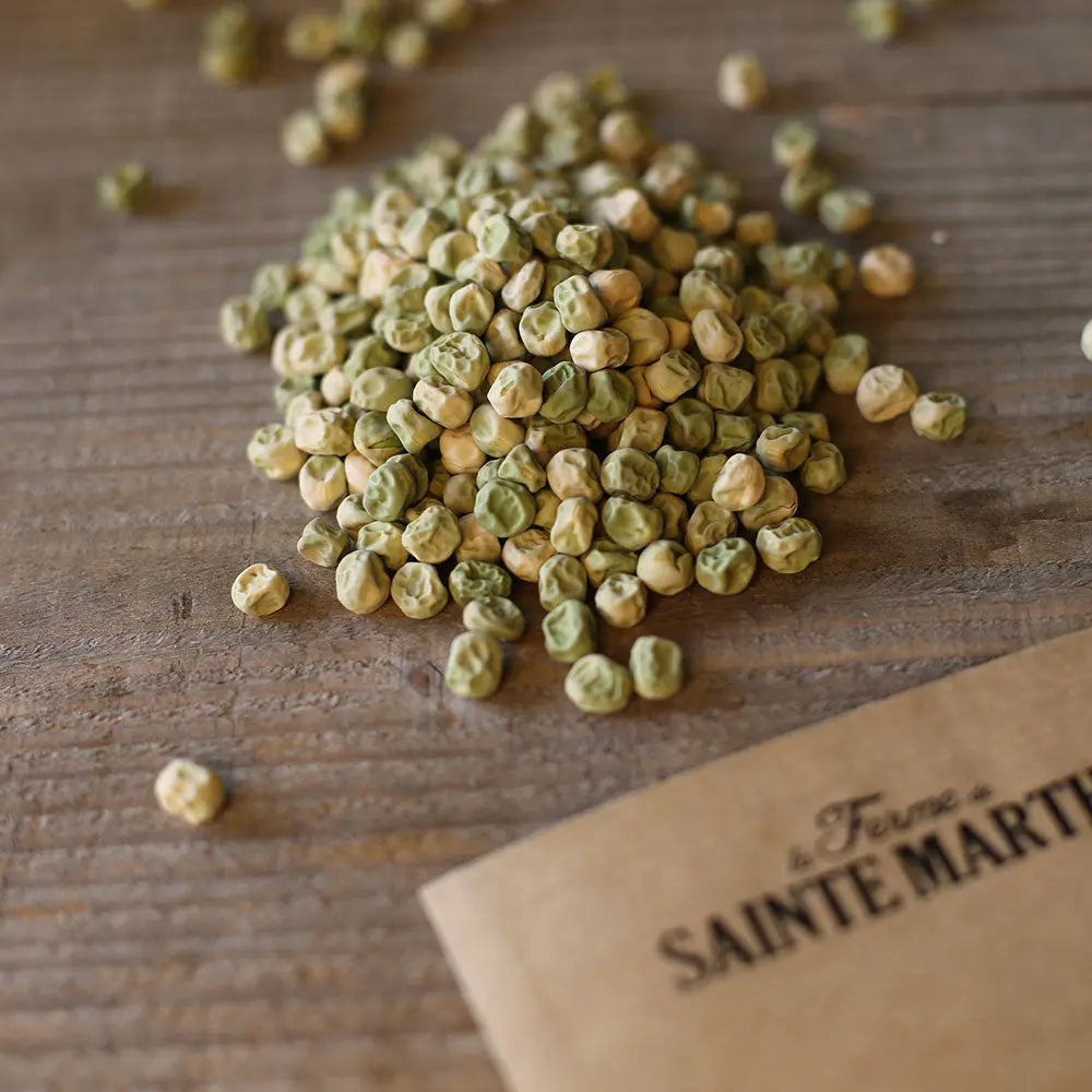 ferme-de-sainte-marthe-graines-potag-res-pois-nain-rondo-ab-sachet-bio image 2