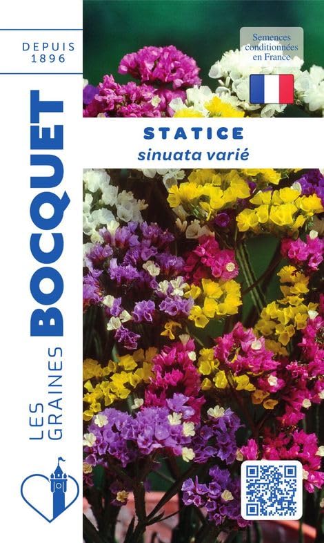 graines-bocquet-statice-sinuata-vari-graines-fleurs-0-5-g-s-ch-es image 1