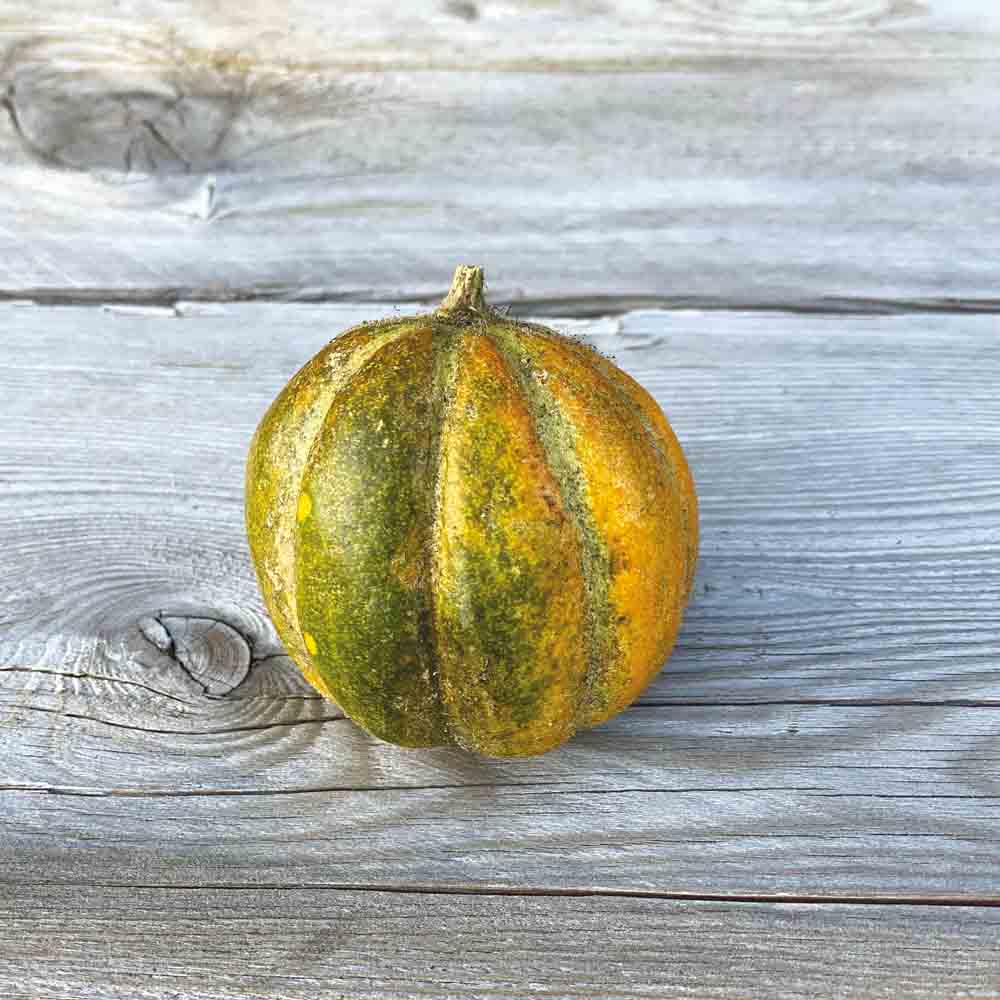 ferme-de-sainte-marthe-melon-ogen-graines-potag-res-bio-sachet image 1