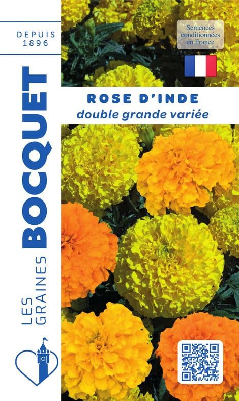 graines-bocquet-rose-d-inde-double-graines-fleurs-1-5-g-annuel image 1