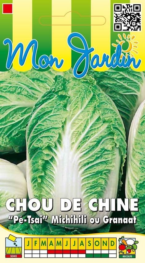 graines-bocquet-chou-chine-michihili-graines-3-g-pomme-allong-e image 1
