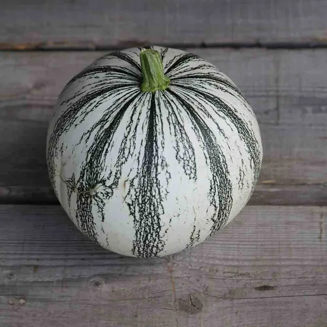 ferme-de-sainte-marthe-pepita-squash-graines-de-courge-bio image 1