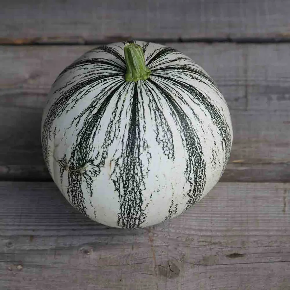 ferme-de-sainte-marthe-pepita-squash-graines-de-courge-bio image 1