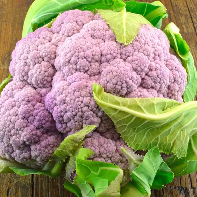 ferme-de-sainte-marthe-chou-fleur-violet-de-sicile-graines-bio image 1