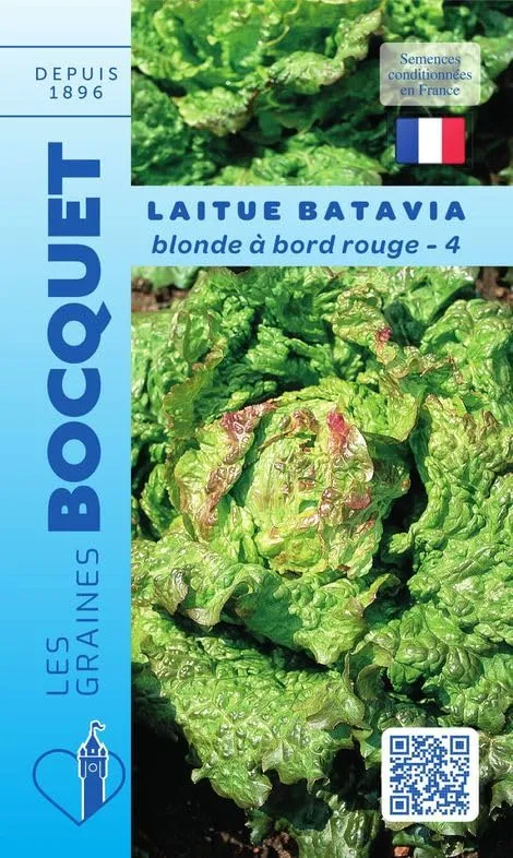 graines-bocquet-laitue-batavia-blonde-bords-rouge-4-g-feuille image 1