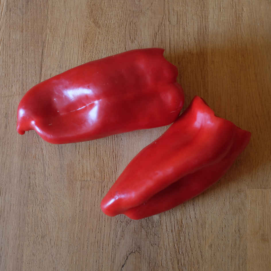 la-bo-te-graines-poivron-bastidon-graines-bio-rouge image 2