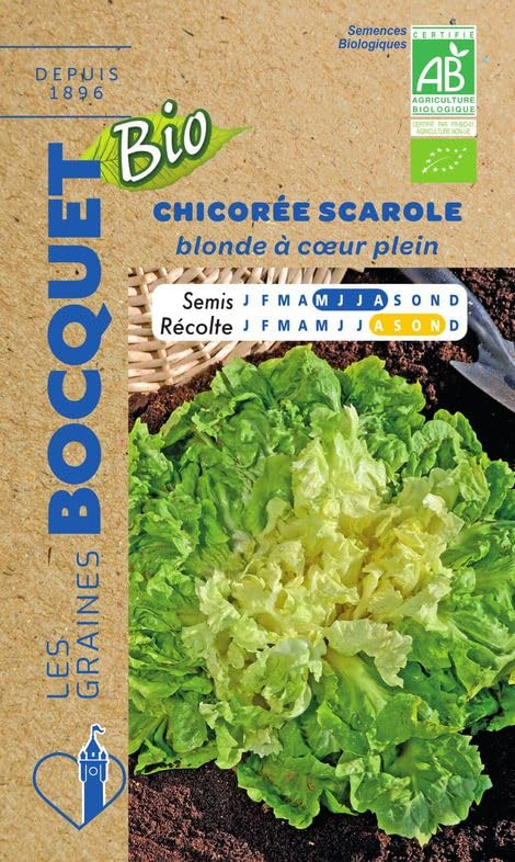 graines-bocquet-chicor-e-scarole-blonde-graines-bio-3-g image 1