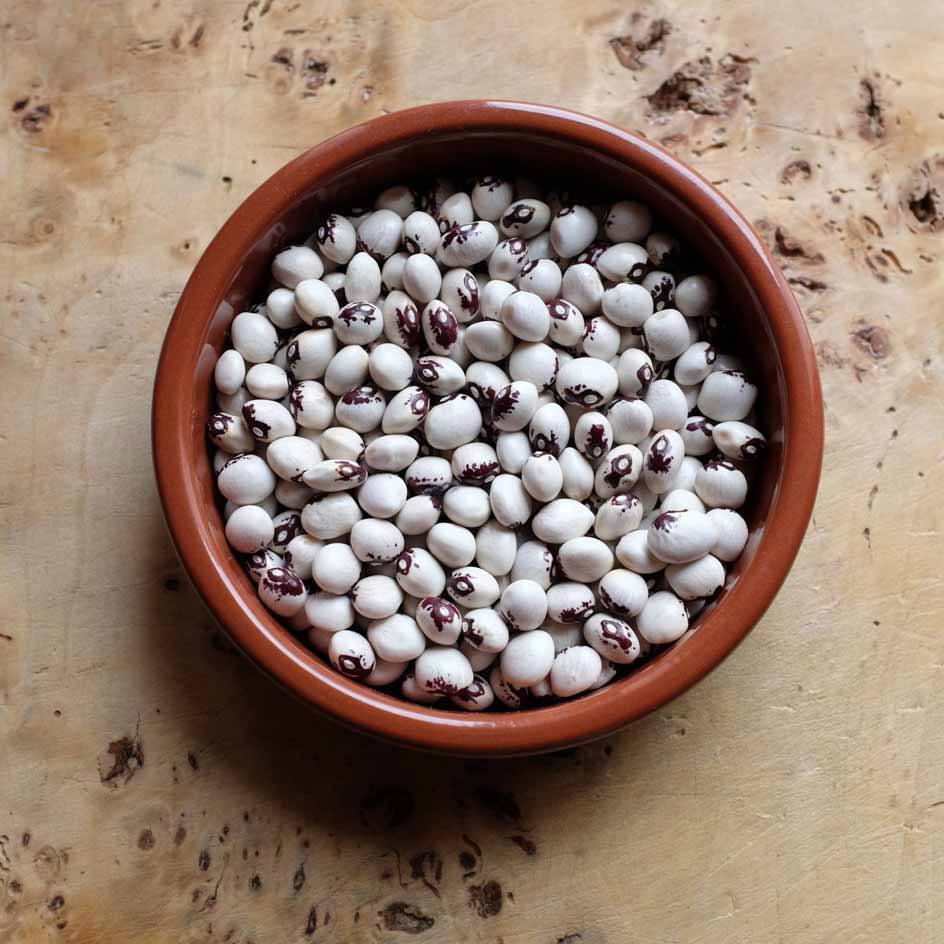 la-bo-te-graines-graines-l-gumes-haricot-saint-sacrement-bio-graines image 5