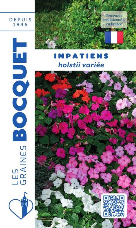 bocquet-impatiens-hoolstii-vari-e-graines-fleurs-0-2-g-mix image 1