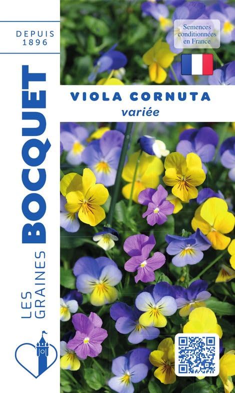 graines-bocquet-viola-cornuta-vari-e-graines-fleurs-0-5-g image 1
