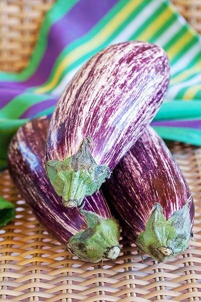 graines-bocquet-aubergine-riado-f1-graines-10-graines-fruit image 1