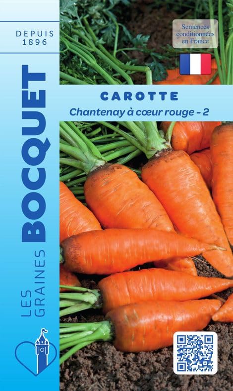 graines-bocquet-carotte-chantenay-c-ur-rouge-3-graines-potag-res-7-g image 1