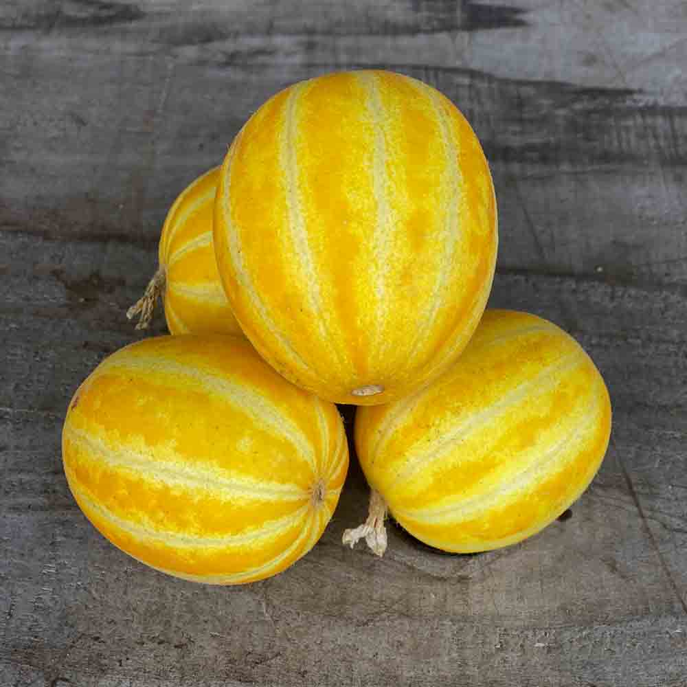ferme-de-sainte-marthe-melon-mango-graines-bio-chair-blanche image 1