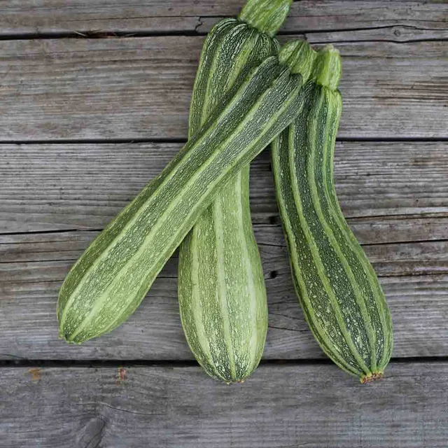 ferme-de-sainte-marthe-courgette-costata-romanesco-graines-bio-c-tel-e image 1