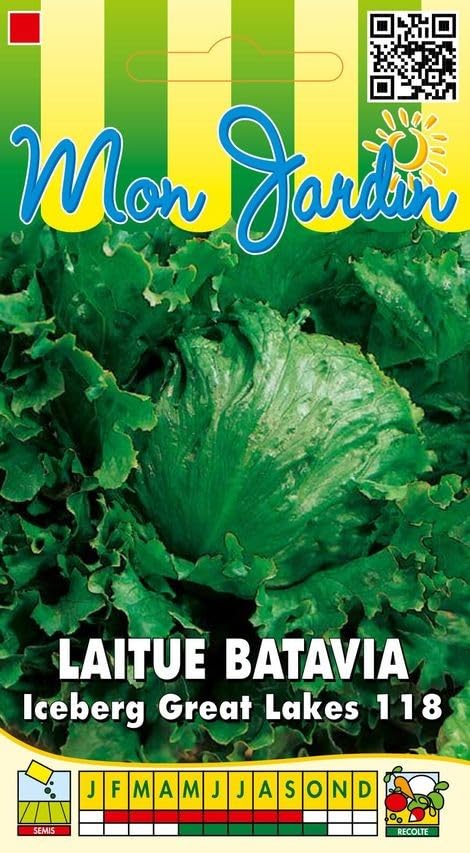 graines-bocquet-laitue-batavia-great-lakes-graines-salade-3g-iceberg image 1
