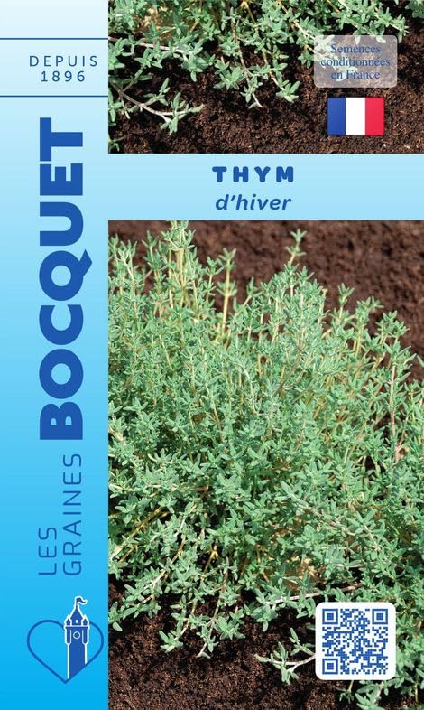 graines-bocquet-thym-d-hiver-graines-aromatiques-0-5-g-vivace-pot image 1