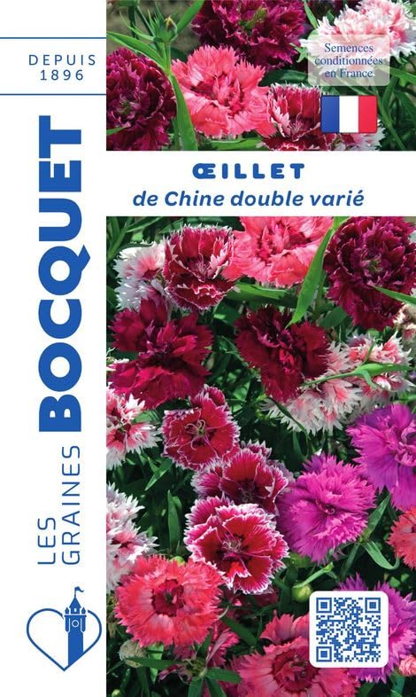 graines-bocquet-oeillet-de-chine-double-vari-graines-fleurs-1-2-g image 1