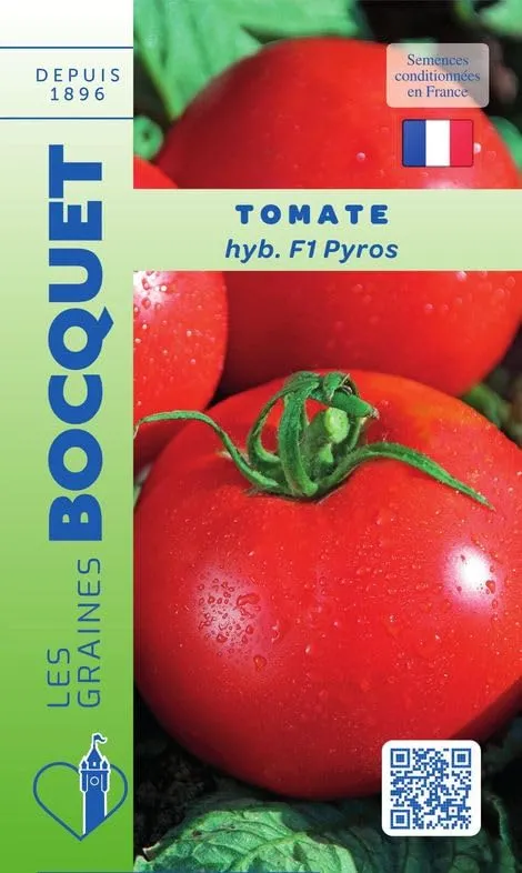 graines-bocquet-tomate-pyros-f1-graines-potag-res-0-10-g image 1