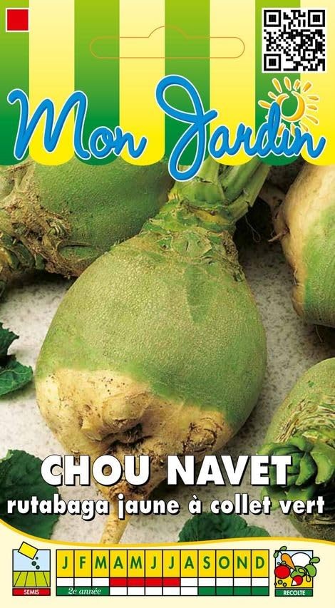 graines-bocquet-chou-rutabaga-jaune-collet-vert-graines-10-g-racine image 1