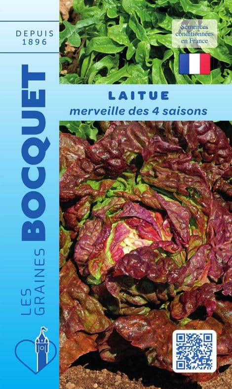 graines-bocquet-laitue-merveille-4-saisons-graines-4-g-rouge image 1