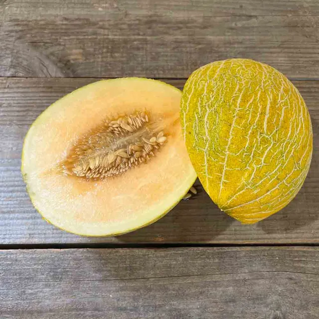 ferme-de-sainte-marthe-cavaillon-espagnol-graines-melon-chair-rose-bio image 1